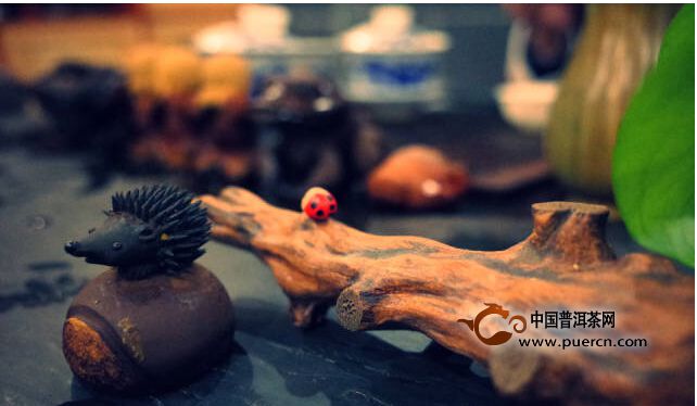 听雪,等你共一场禅茶之约